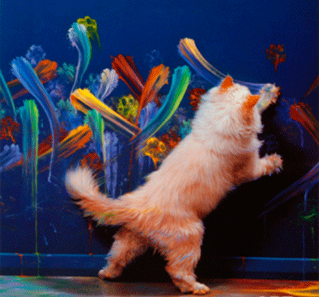 Paintings by Cats
